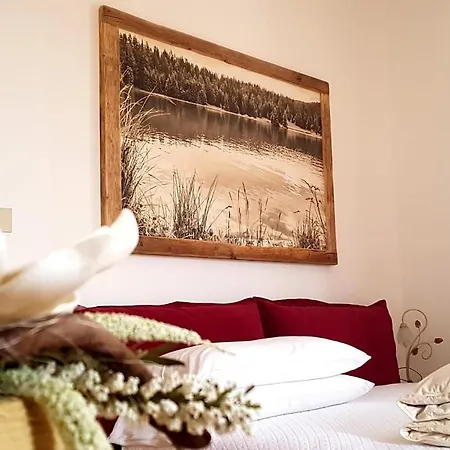 Hotel Garni' Aurora Tret